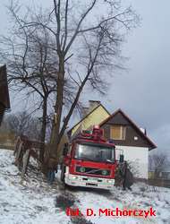 Uszkodzone przez wiatr drzewo